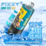 fizzy max iii pro 120k features 1